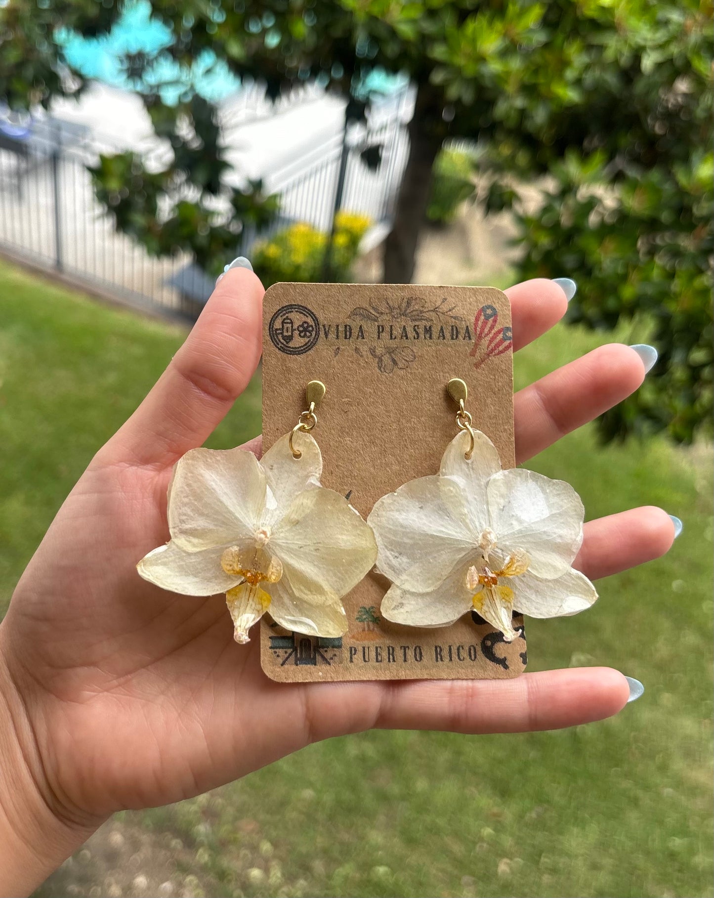 ✨Migdalia✨