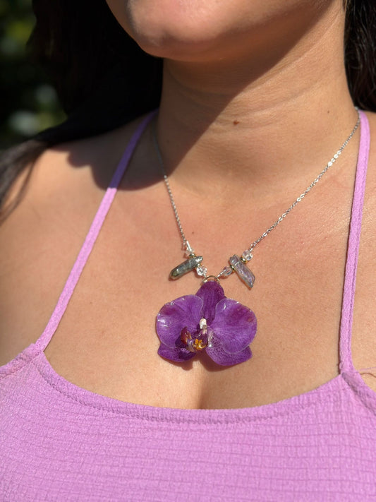 Midnight Orchid