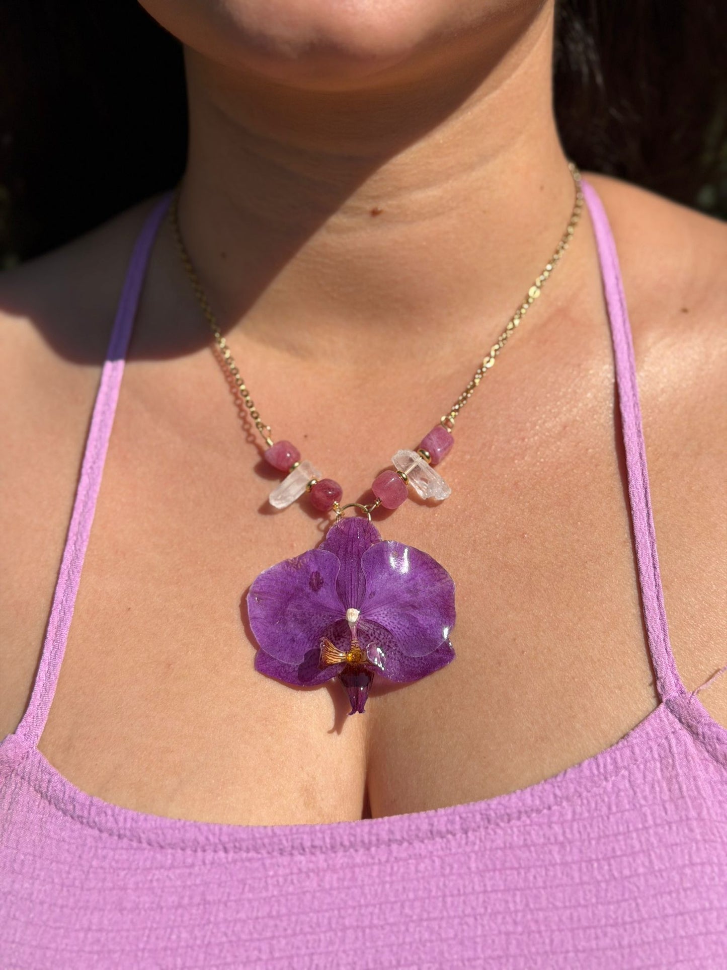 Orquídea Amatista