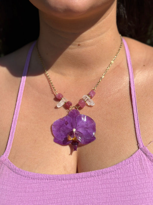 Orquídea Amatista